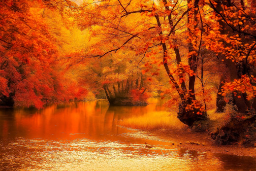 1752044 (a): :1920x1279